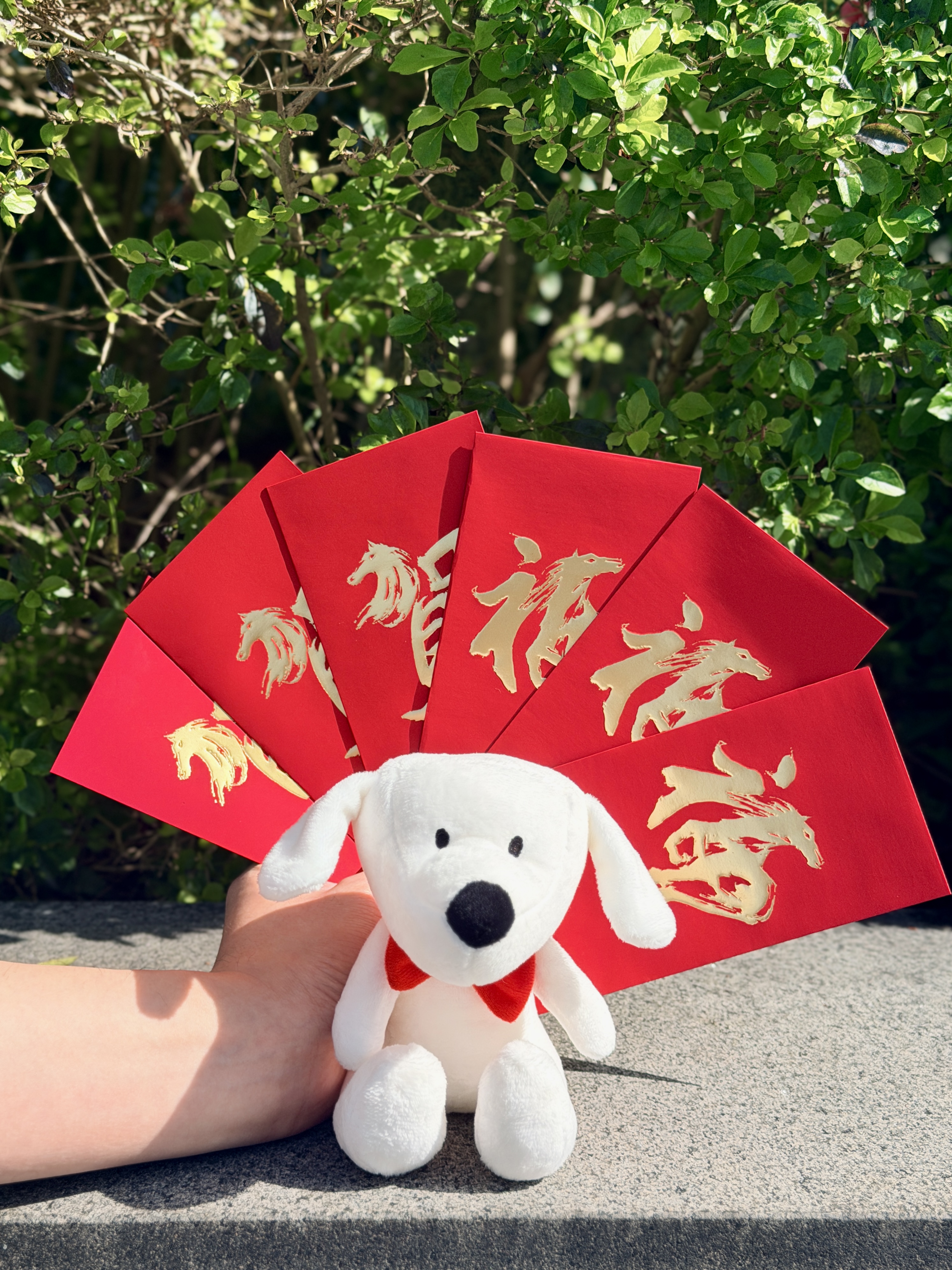 20260203_台新Richart年終放大術來了！美元定存最高6%、立即開戶享NT$200用戶禮_新聞照